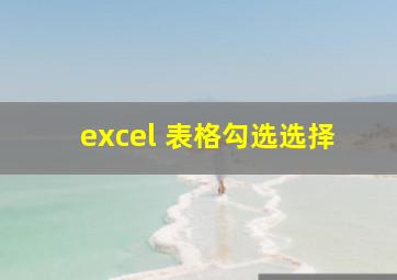 excel 表格勾选选择